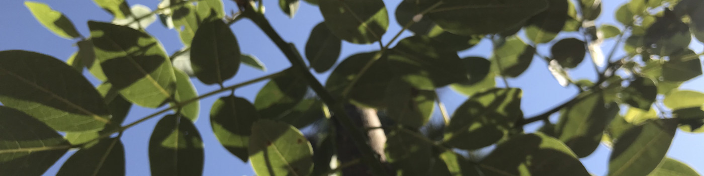 Bem-vindo ao site do NuPER