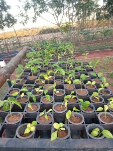 Resultado final: processo seletivo para bolsista na ACIEPE NuPER 2025